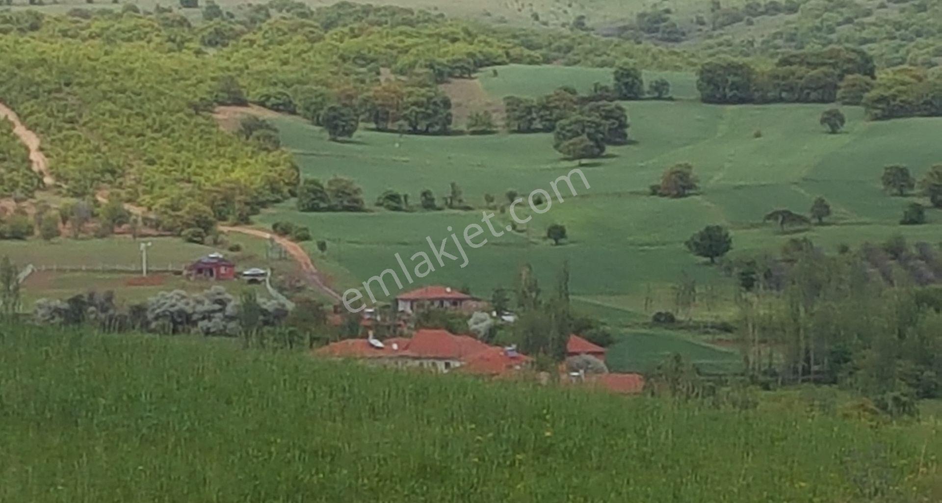 Ankara Çubuk Susuz Köyünde, 863 M2, Yatırımlık Müstakil Parsel - Görsel 6