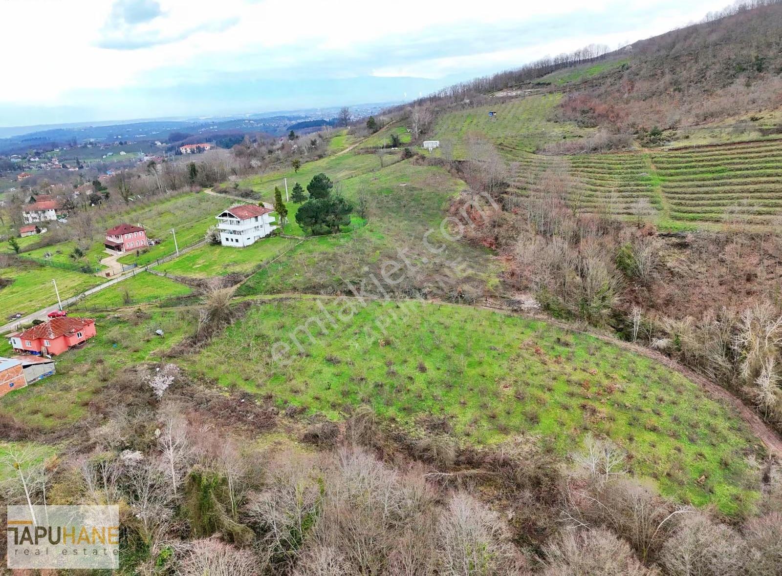 Tapuhane'den 4.8 Dönüm 2.2 Dönümü İmarlı Arsa - Görsel 2