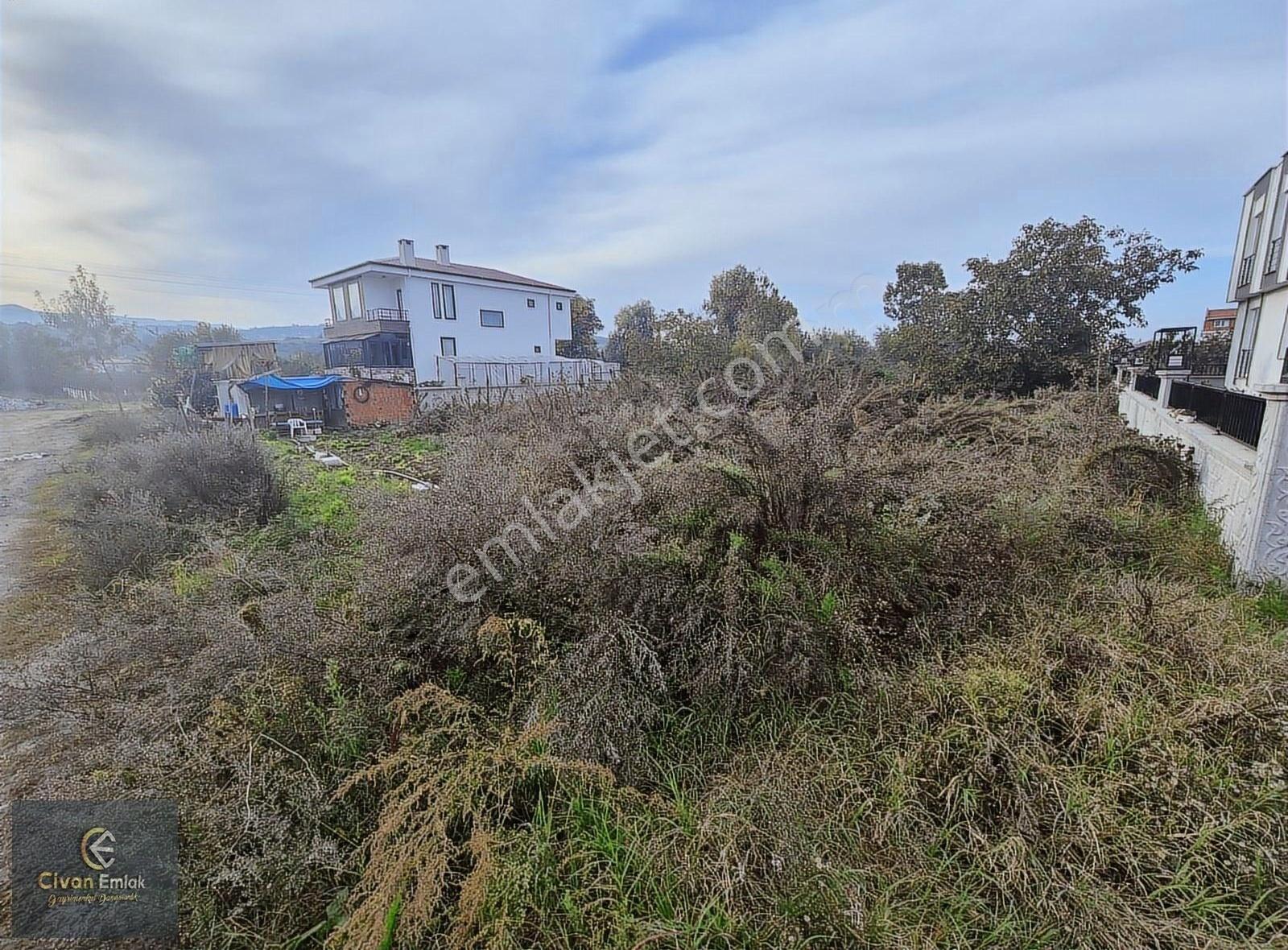 Taflanda Sahile 350 Metrede Villalık 4 Parsel Arsa - Görsel 7