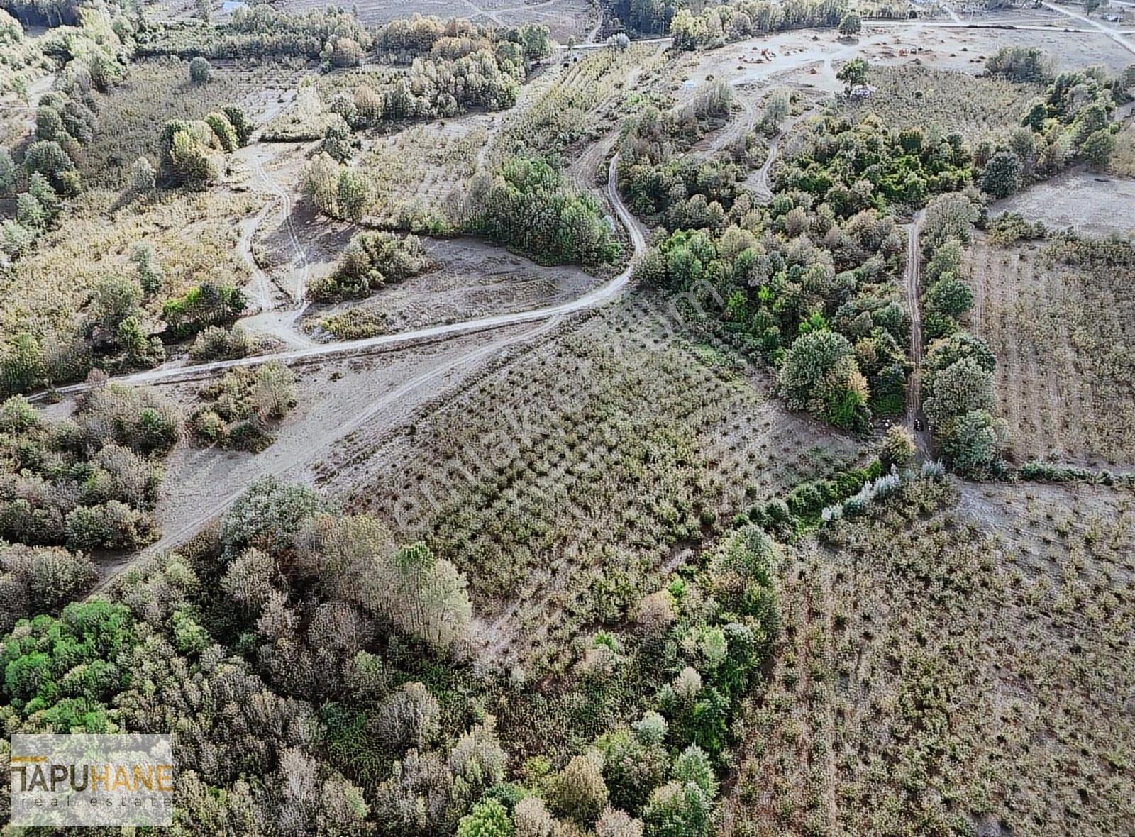 Martinlerde 2493 M2 Tarla Yol Su Mevcut Fırsattt!! - Görsel 4