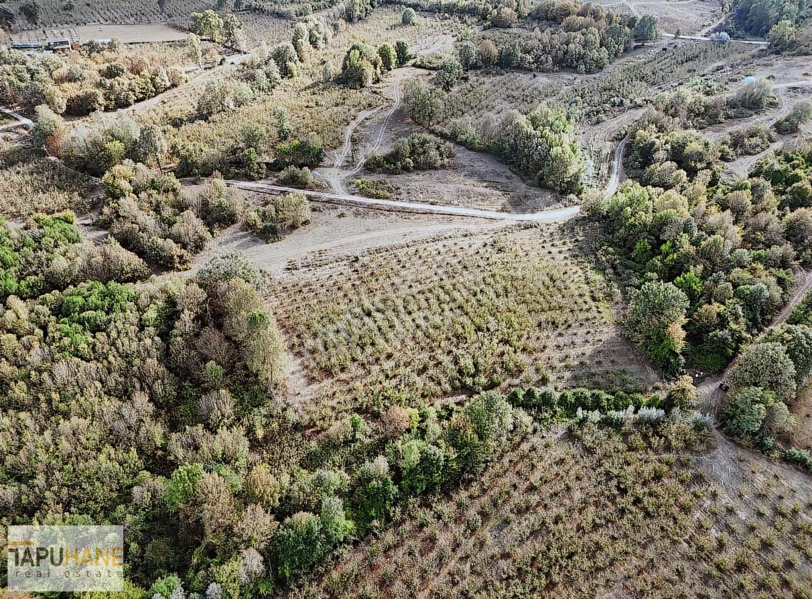 Martinlerde 2493 M2 Tarla Yol Su Mevcut Fırsattt!! - Görsel 8