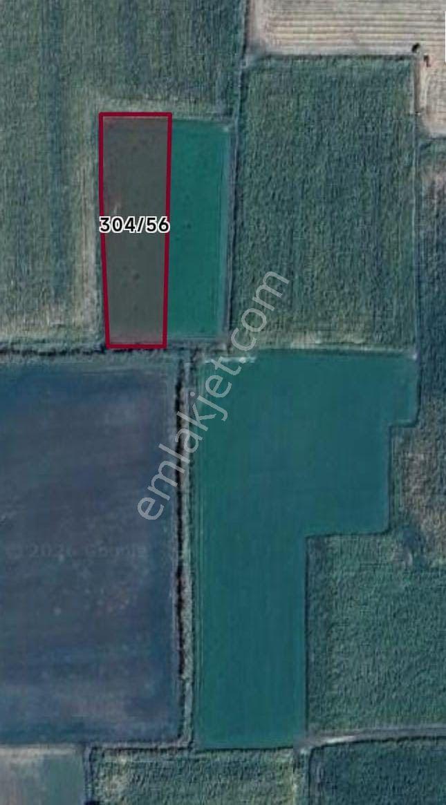 Kuyucak Beşeylül Mahallesi – Çiftler İçi Mevkii 1.730 M² Müstakil Tapulu Tarla - Görsel 5