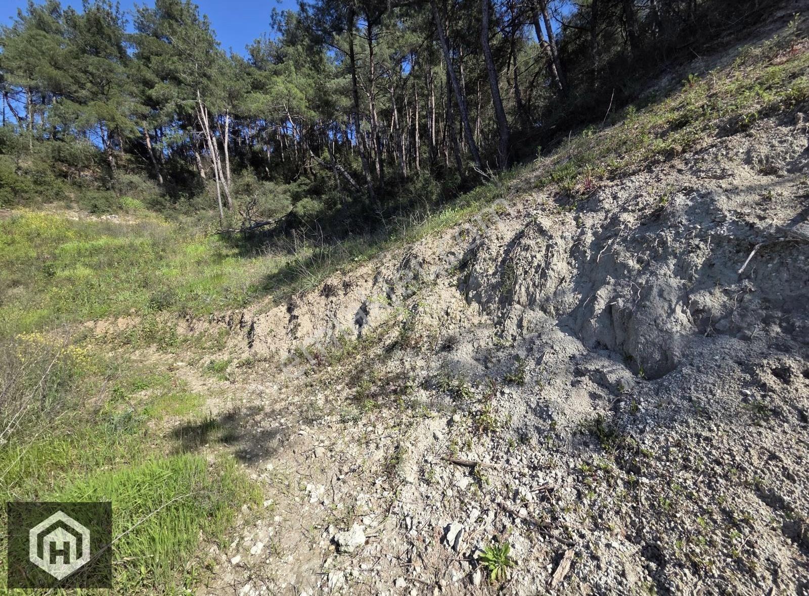 Bursa Mudanya Ömerbey Mh 4272mt2 Deniz Manzaralı Tek Tapu Bağ - Görsel 7