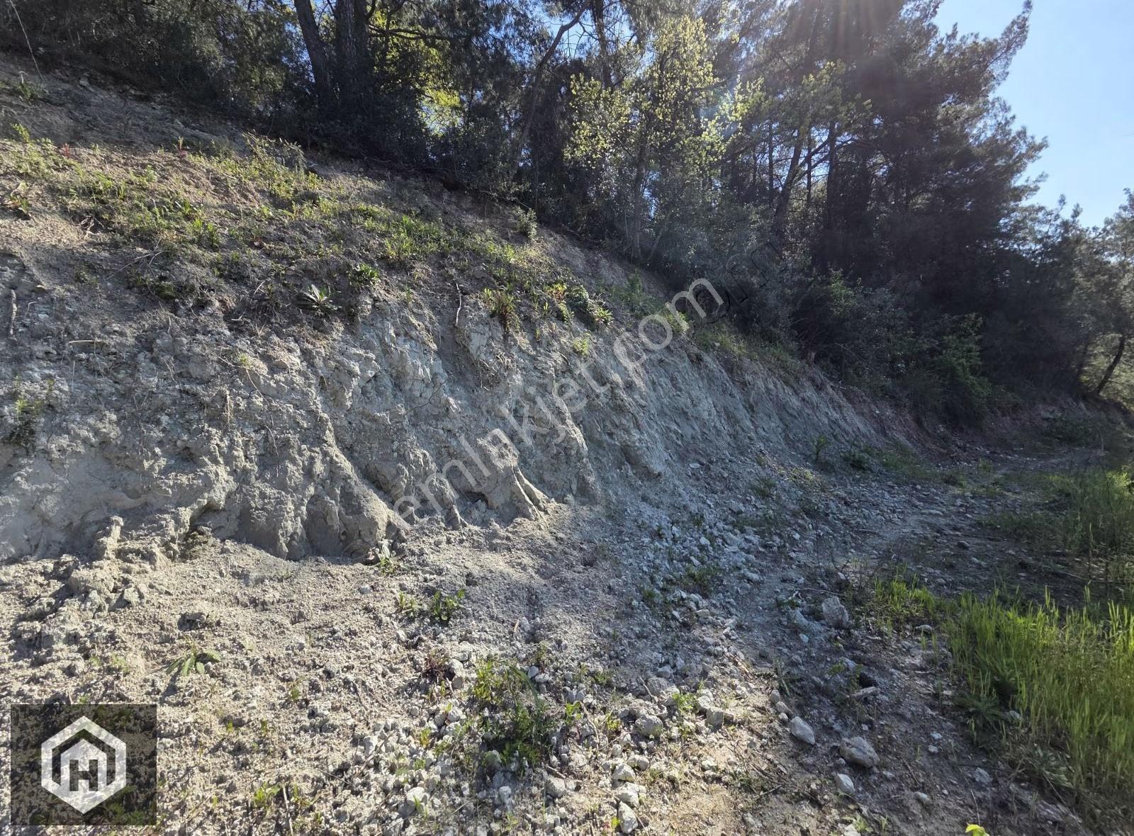 Bursa Mudanya Ömerbey Mh 4272mt2 Deniz Manzaralı Tek Tapu Bağ - Görsel 21