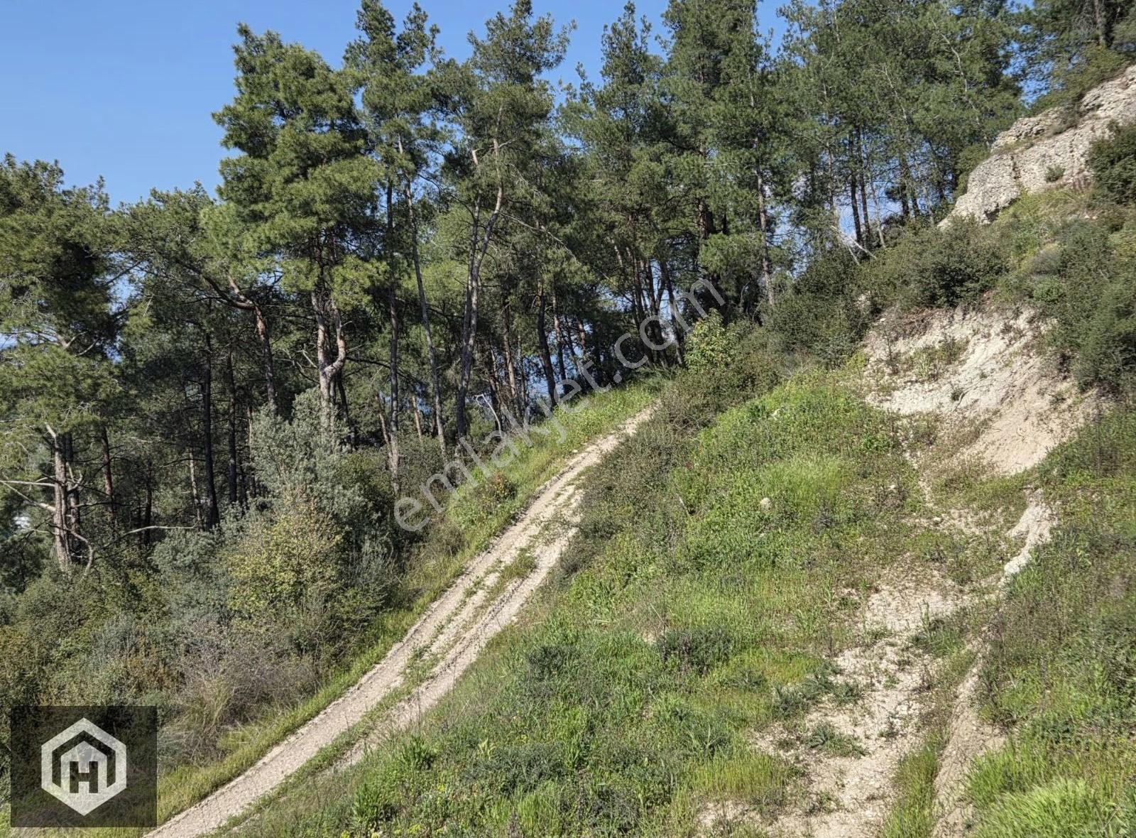 Bursa Mudanya Ömerbey Mh 4272mt2 Deniz Manzaralı Tek Tapu Bağ - Görsel 6