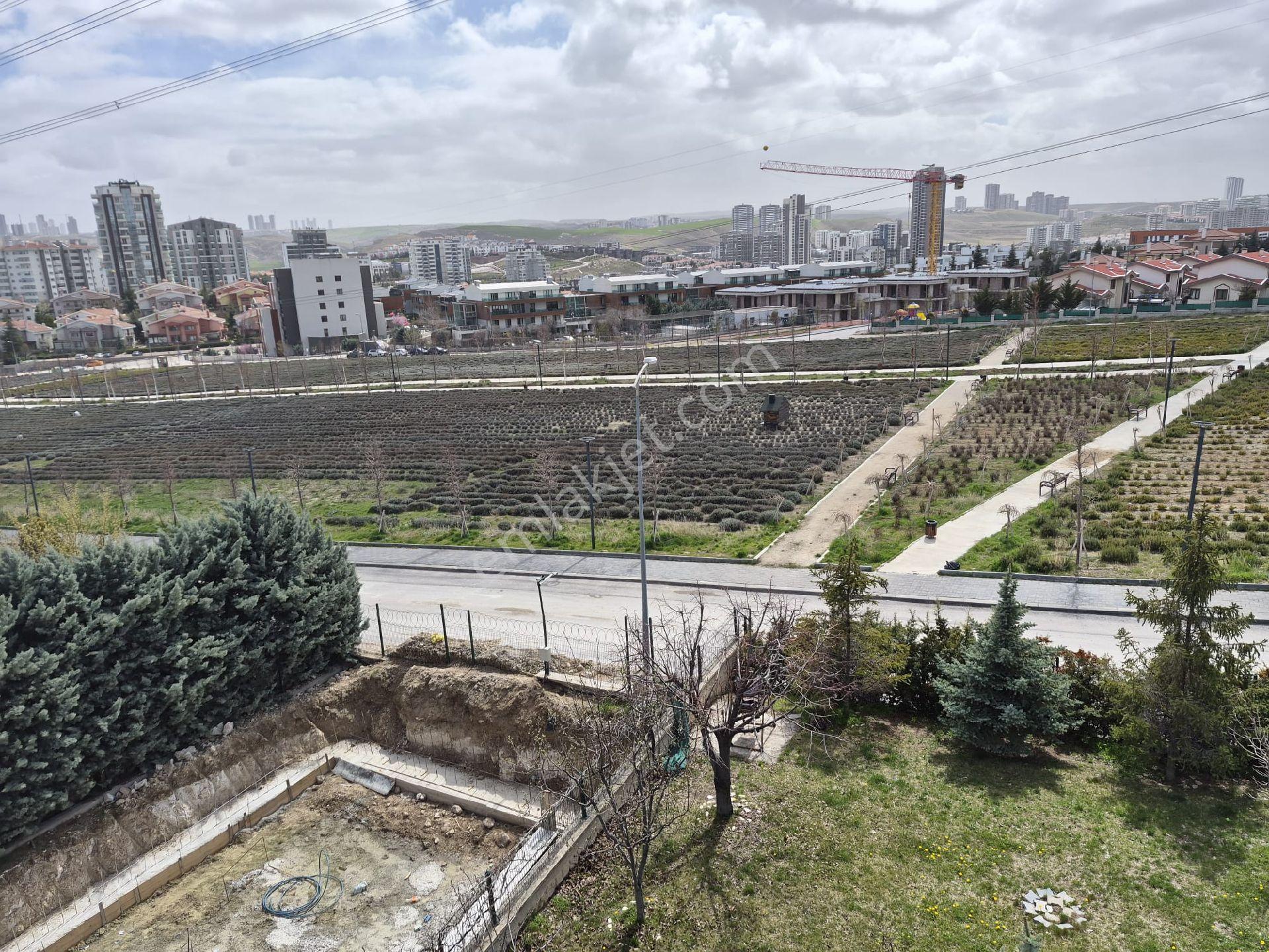 İlyap'tan Alaçatlıda Kiralık 4 Katlı Müstakil Köşe Villa - Görsel 6