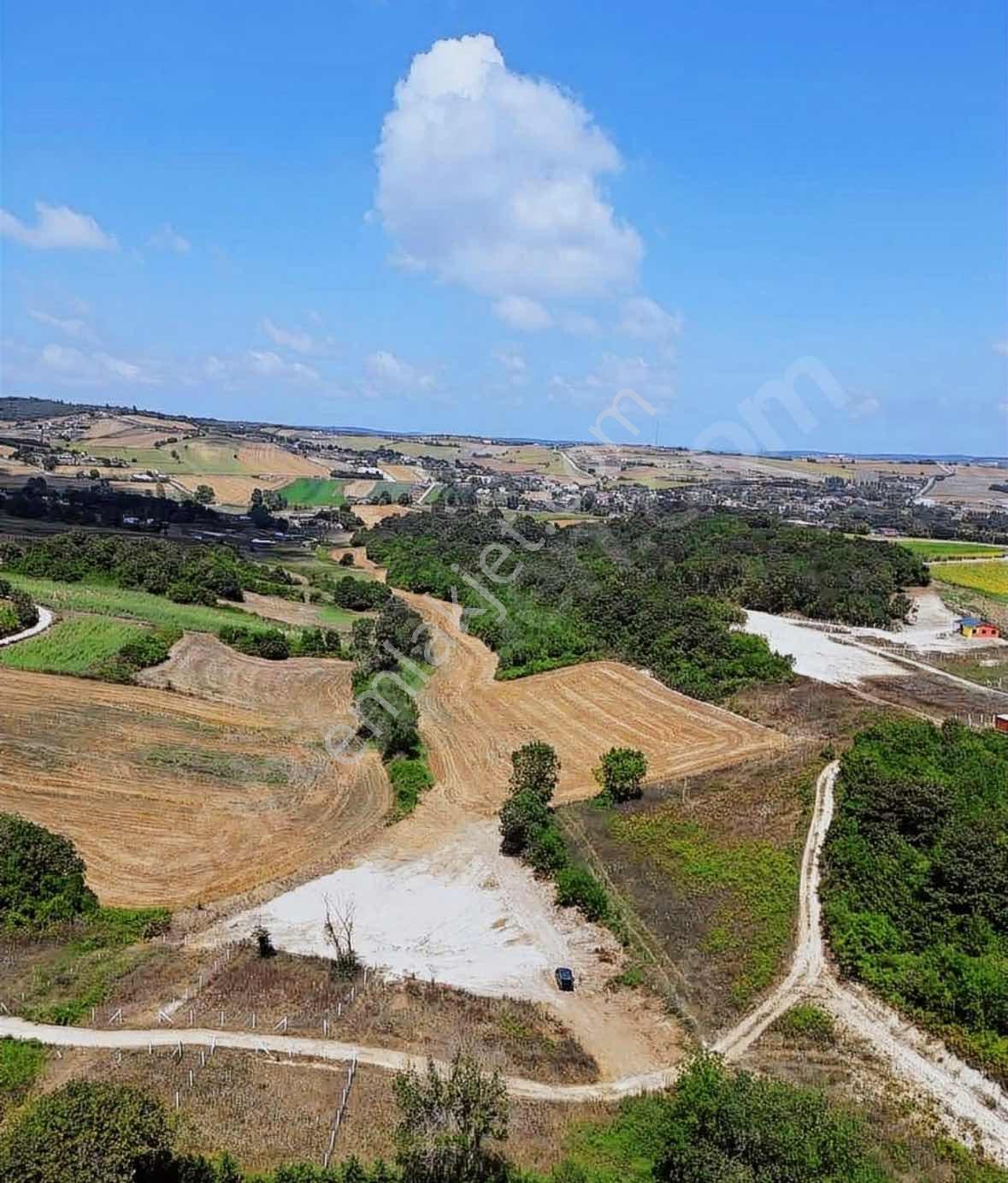 Çatalca Dağyenicede Satılık 918 M2 Tarla - Görsel 10