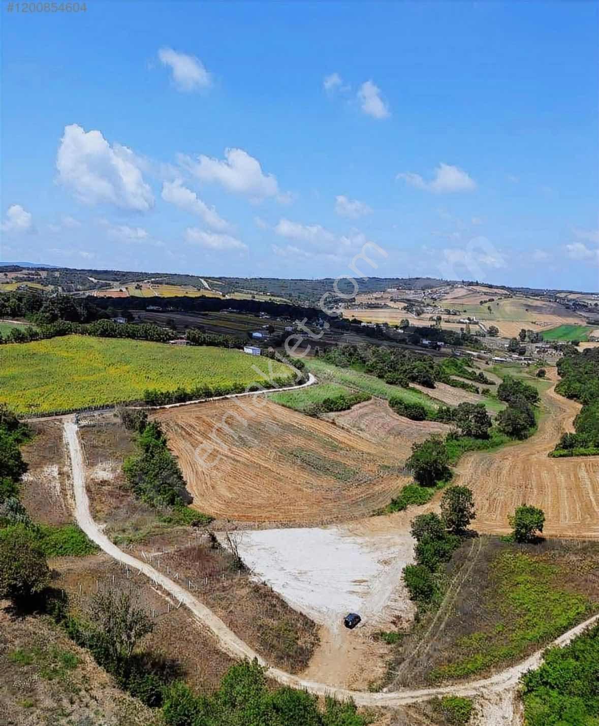 Çatalca Dağyenicede Satılık 918 M2 Tarla - Görsel 12
