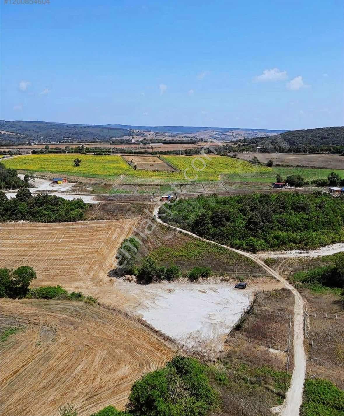 Çatalca Dağyenicede Satılık 918 M2 Tarla - Görsel 9