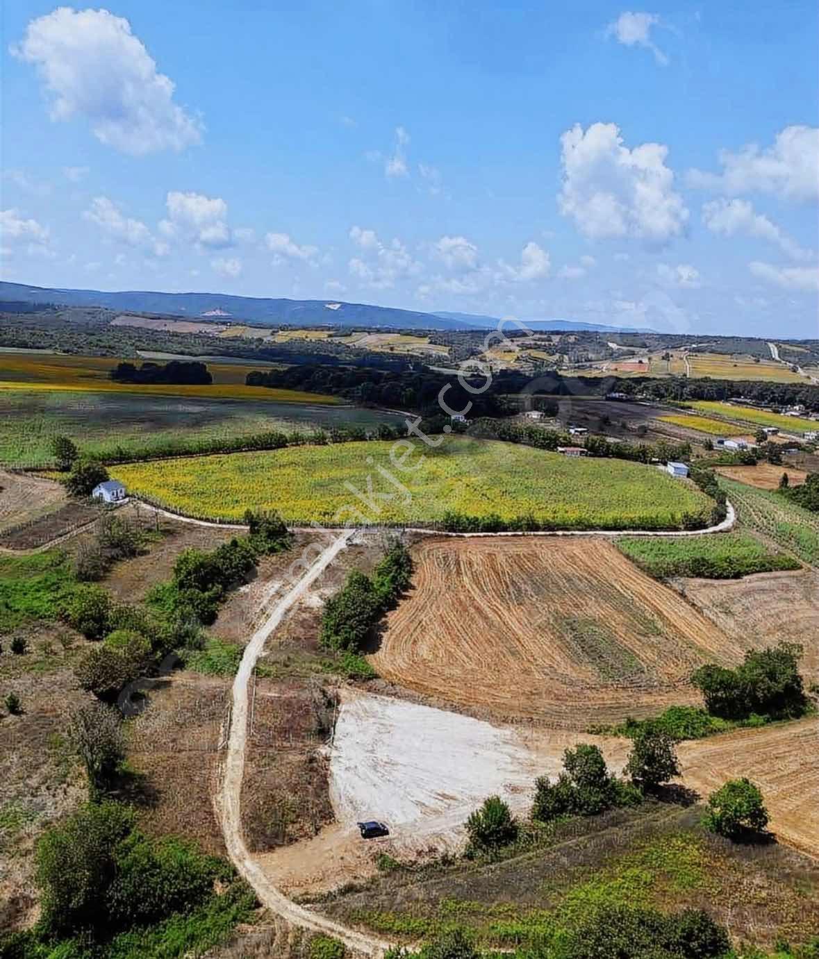 Çatalca Dağyenicede Satılık 918 M2 Tarla - Görsel 3