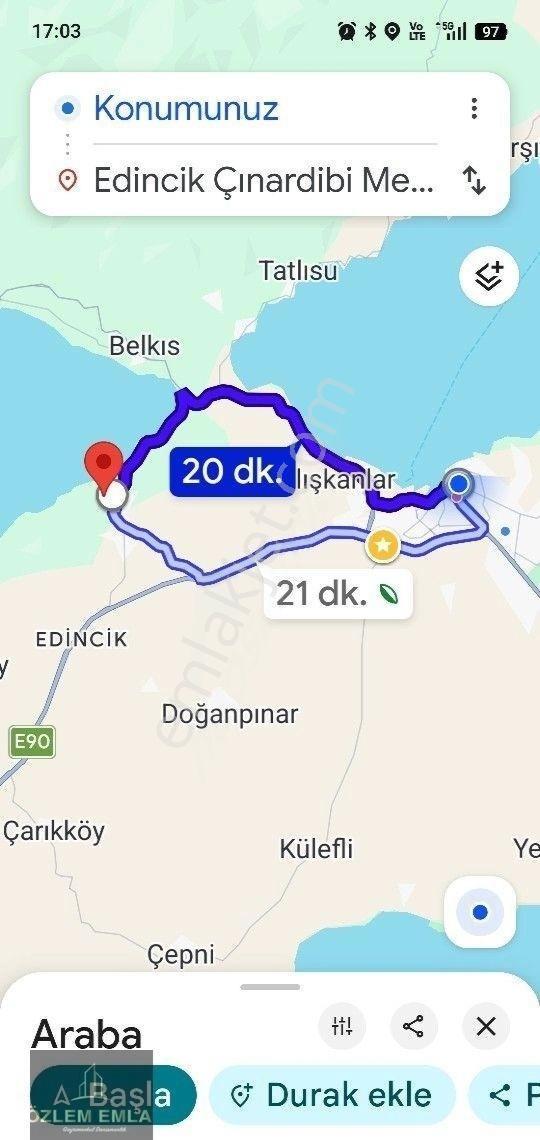 Özlem Den Bandırma Edincik’te Denize Yakın Satılık Zeytinlik – 1.768 M² Tek Tapu - Görsel 4