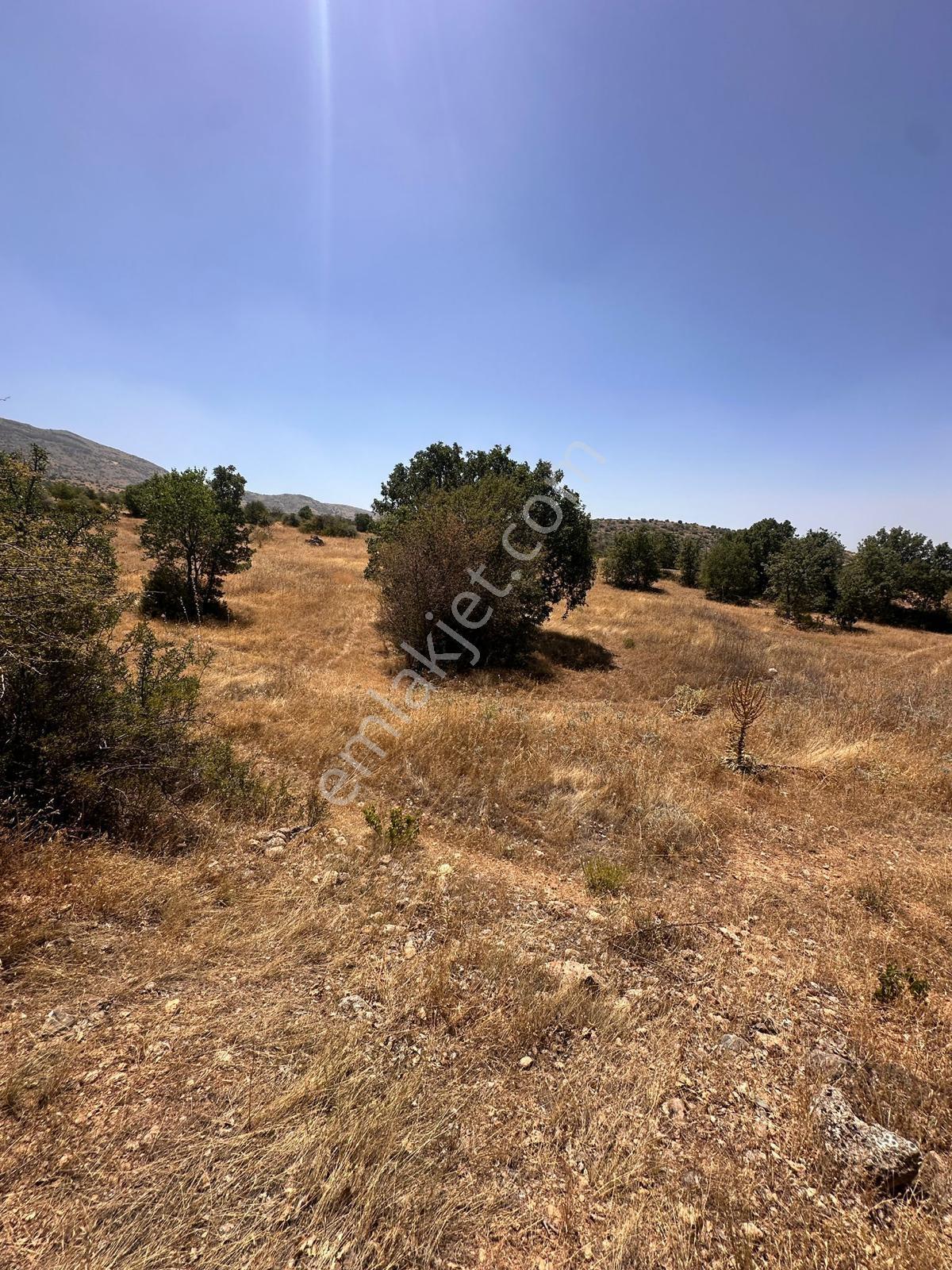 Denizli Bekilli Bükrüce'de Yatırımlık Fırsat Arazi!!! - Görsel 25