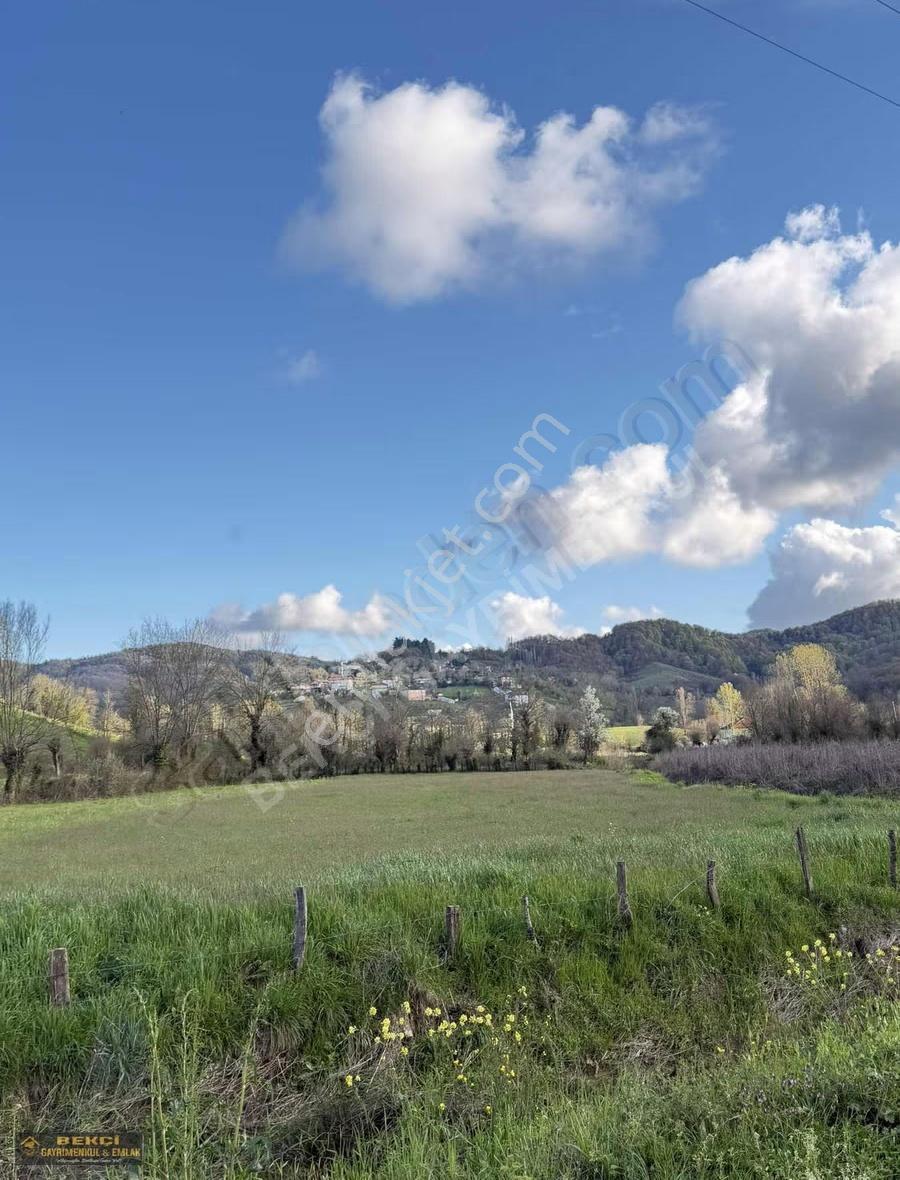 Akmanlar'da Çift Satılık 1534m2+1534m2 Arsa - Görsel 6