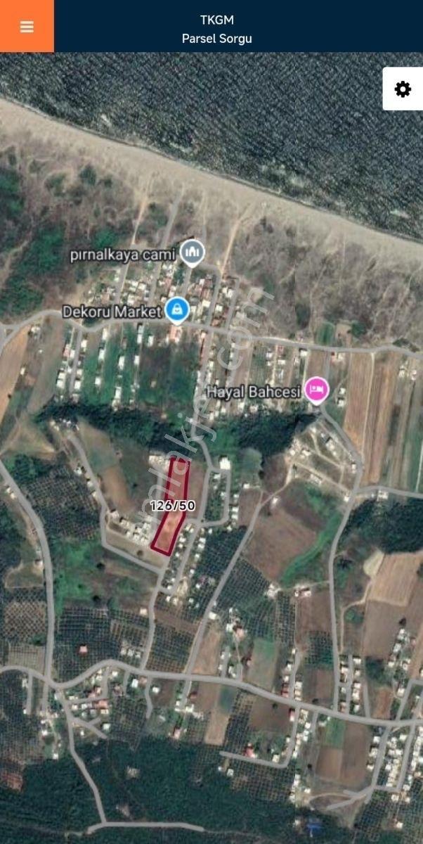 Mudanya Mesudiye Köyünde Satılık Tarla - Görsel 7