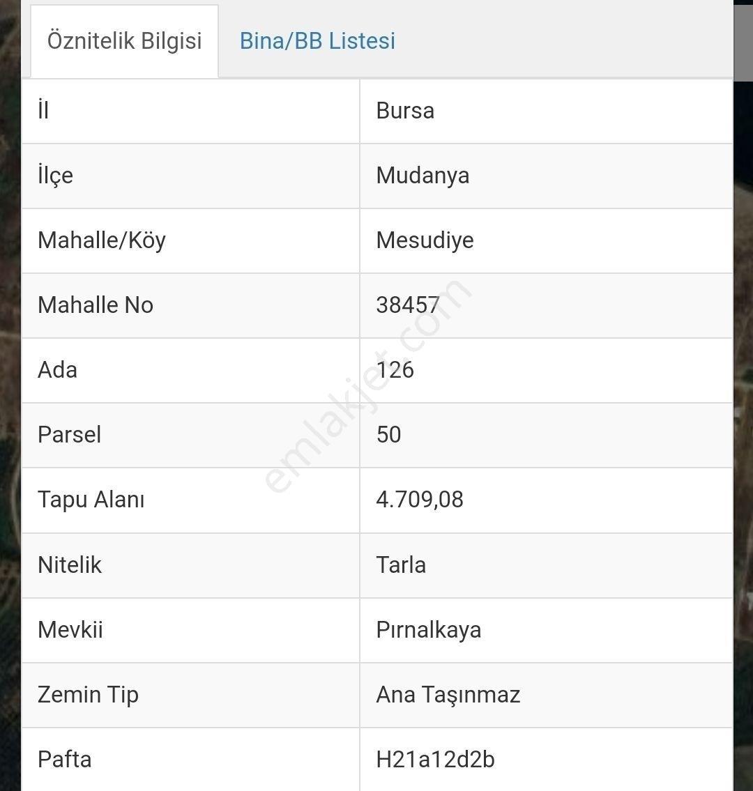 Mudanya Mesudiye Köyünde Satılık Tarla - Görsel 2