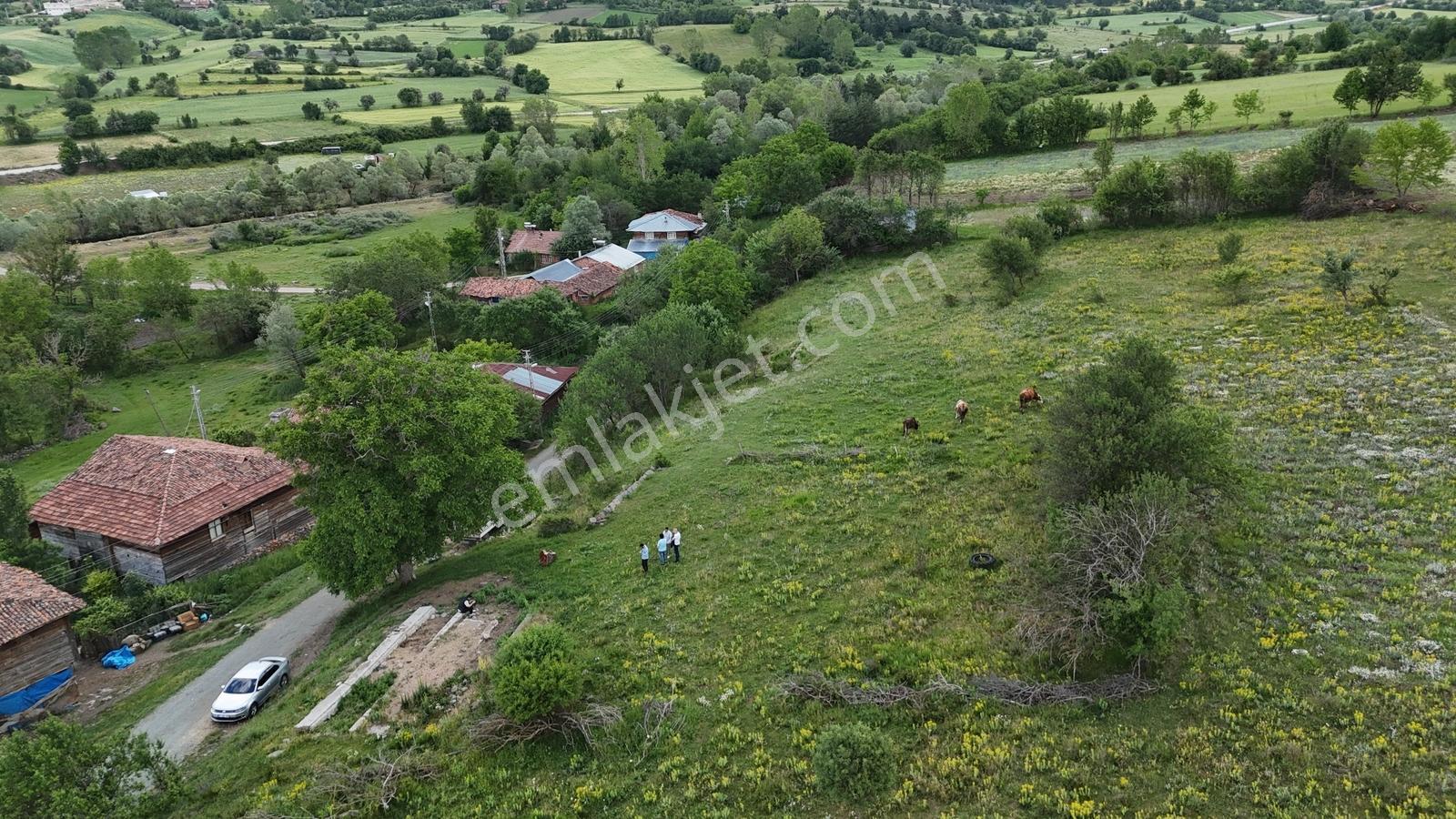 Kastamonu Emlak Gayrimenkulden Satılık Şeyh Köyünde 924 M² Arazi - Görsel 2