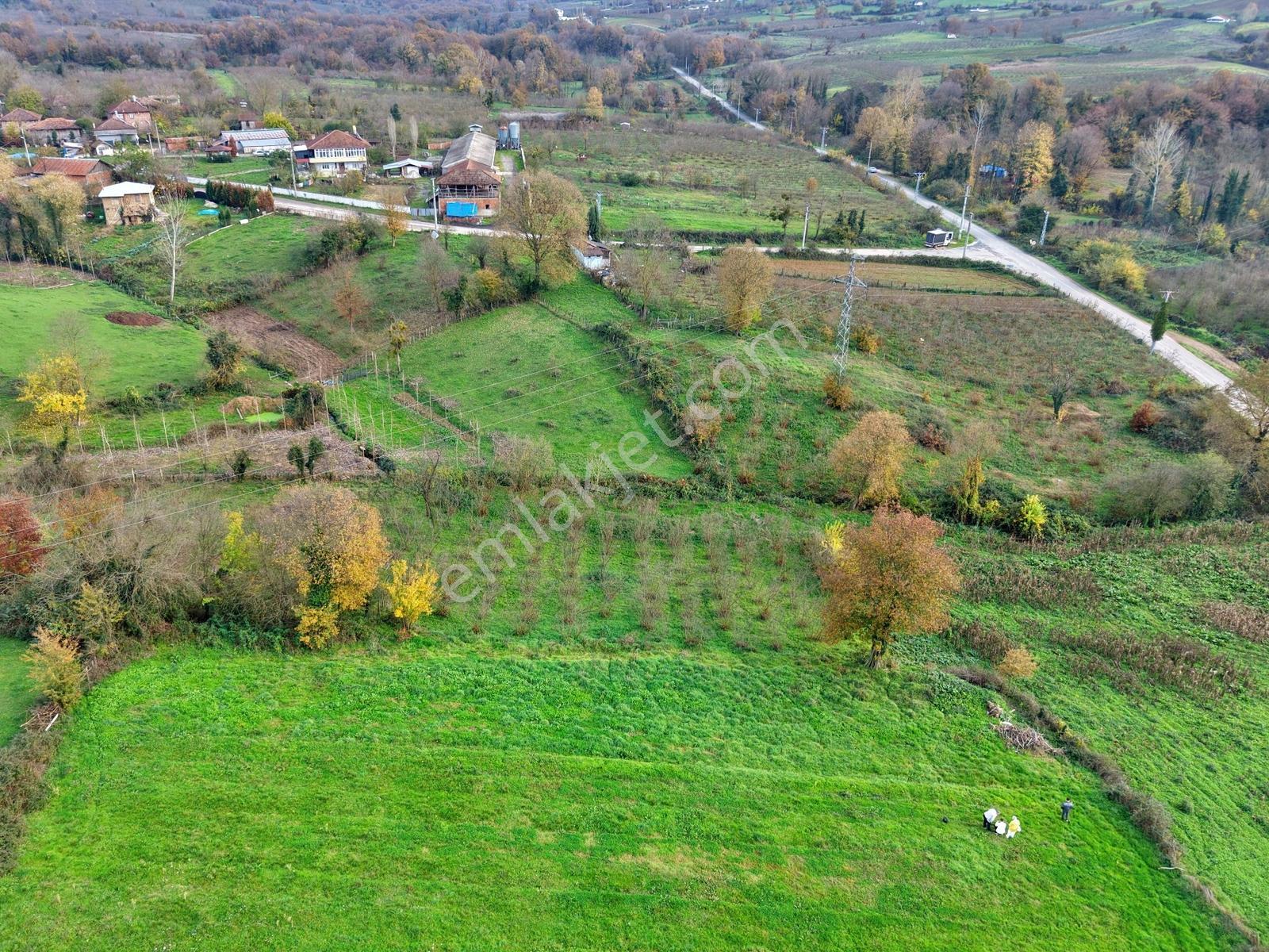 Emlak Evim - Hallaç Mahallesinde 891 M² Köy İçi Satılık Tarla - Görsel 10