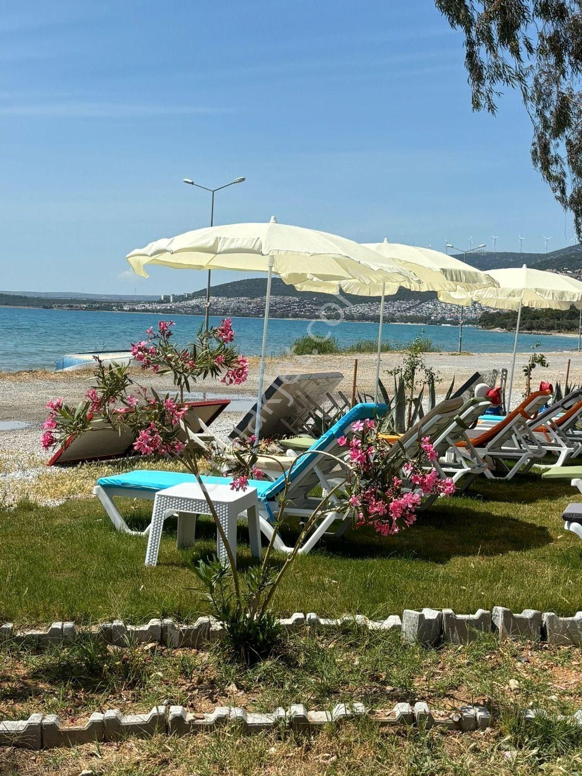 Fiyatı Düştüü!!! Satılık/devren Kiralık Turizm Ruhsatlı Restorant/cafe/beach - Görsel 8