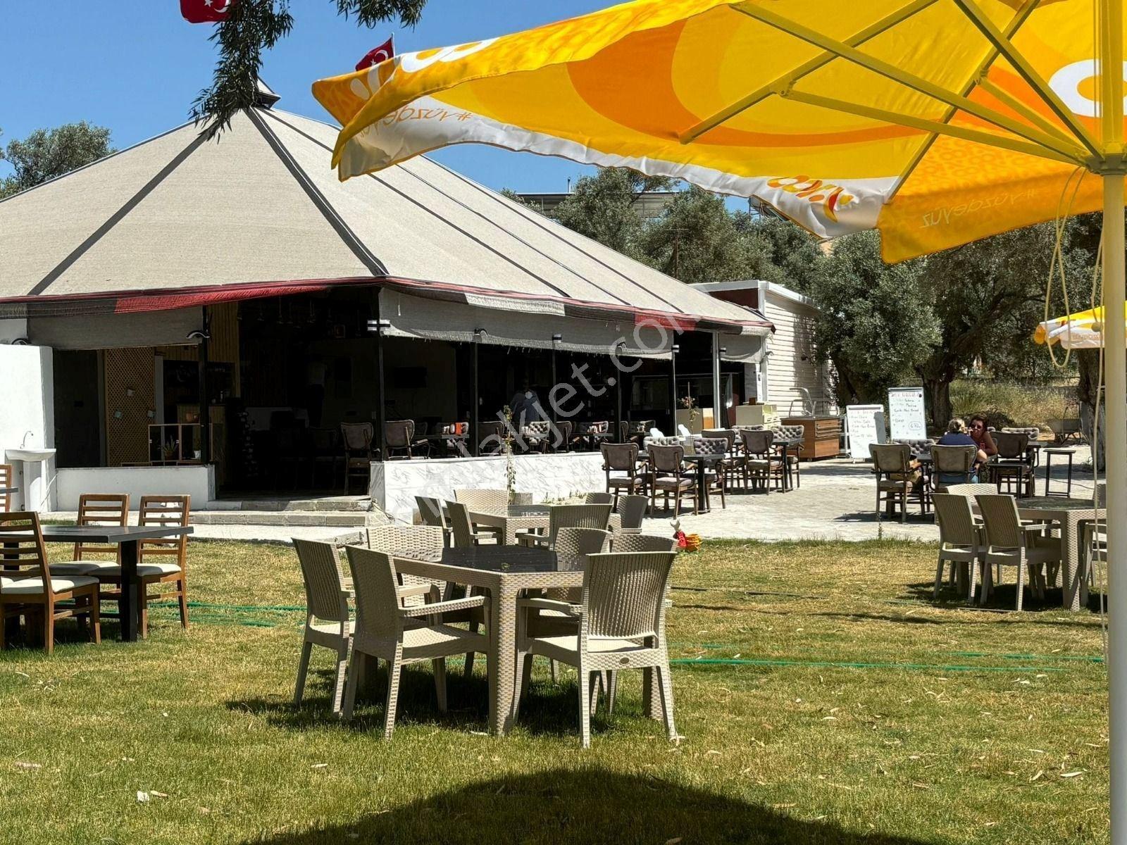 Fiyatı Düştüü!!! Satılık/devren Kiralık Turizm Ruhsatlı Restorant/cafe/beach - Görsel 5