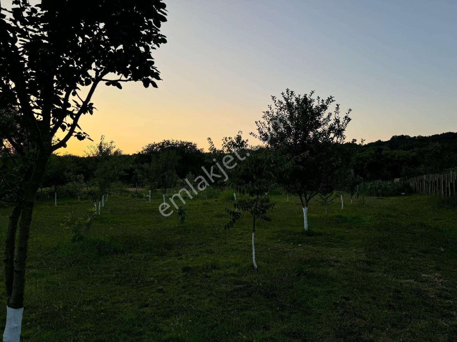 Beykoz Kanal Riva Müstakil Tapulu Satılık Tarla / Arzu Gedikoğlu - Görsel 5