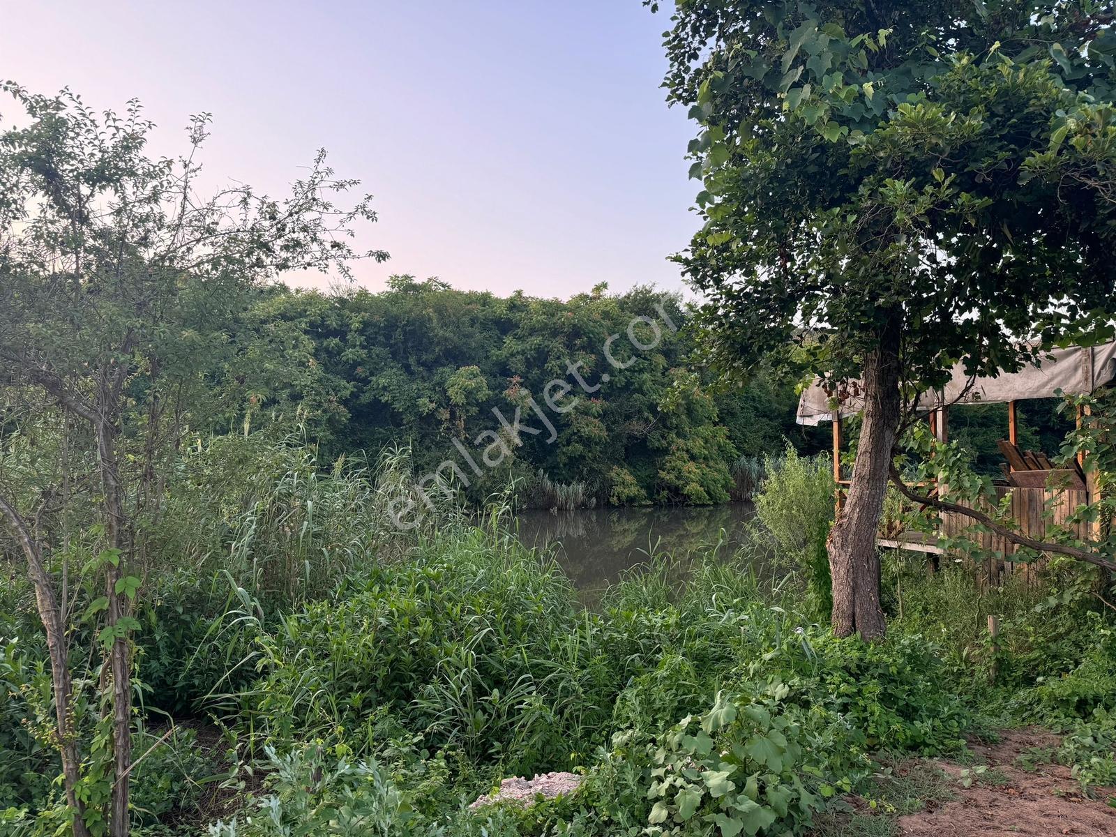 Beykoz Kanal Riva Müstakil Tapulu Satılık Tarla / Arzu Gedikoğlu - Görsel 4