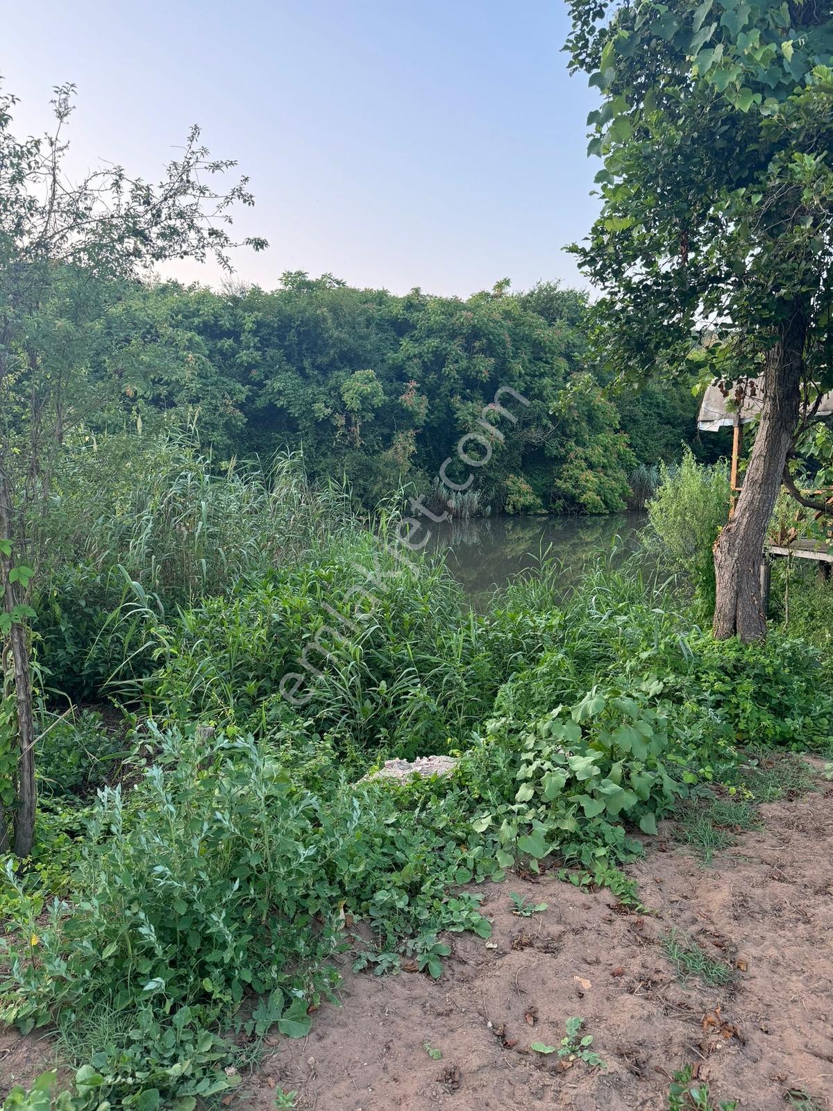 Beykoz Kanal Riva Müstakil Tapulu Satılık Tarla / Arzu Gedikoğlu - Görsel 3