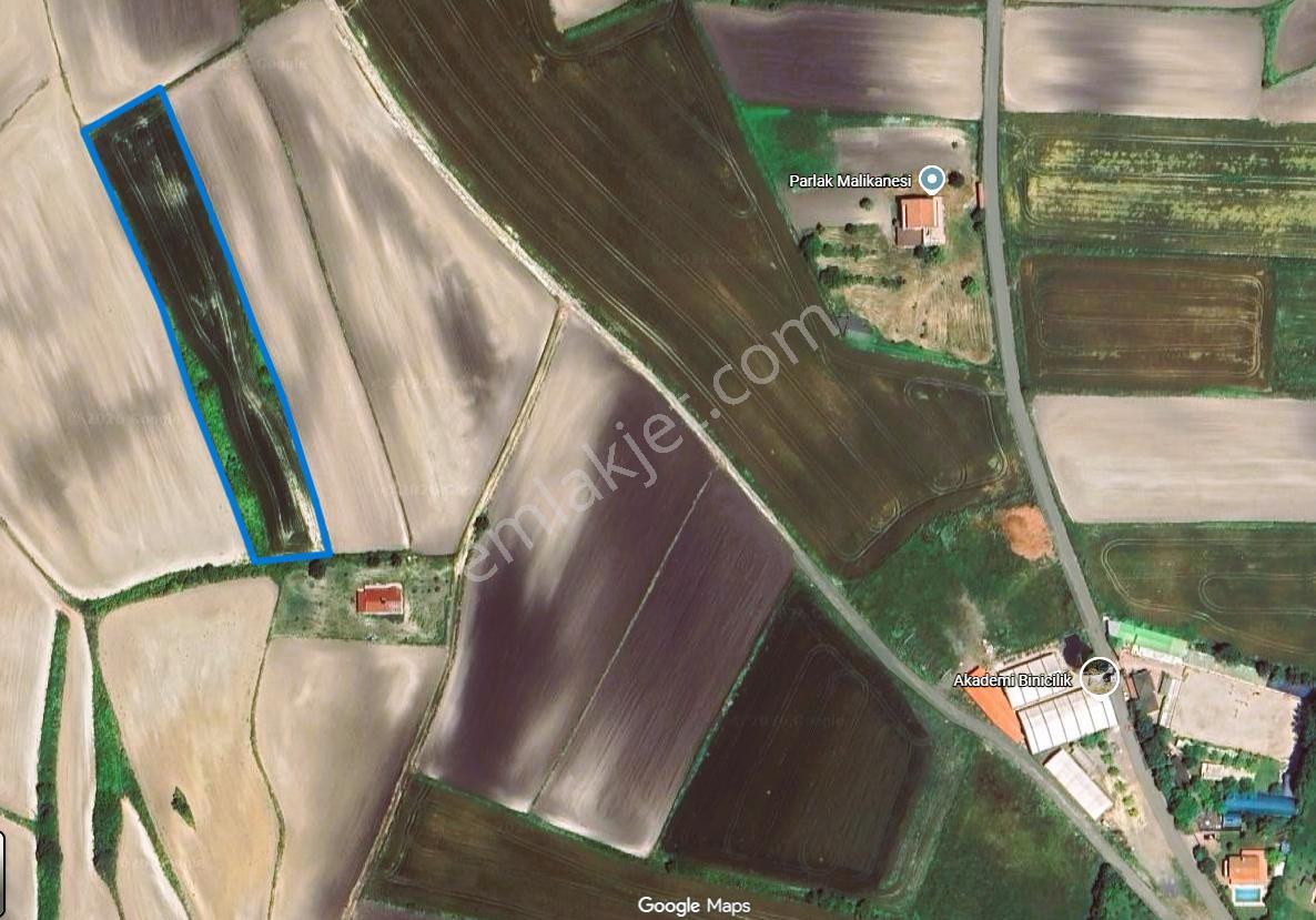 Kuzey Marmaraya 2 Dk 6116 M² Tek Tapu Arsa/yatırımlık Kaçmaz - Görsel 7