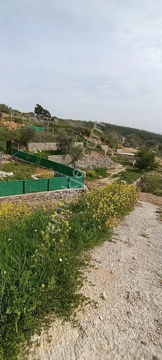 Ulucak Damlacık'da 300 Mt2 Tarla - Görsel 2