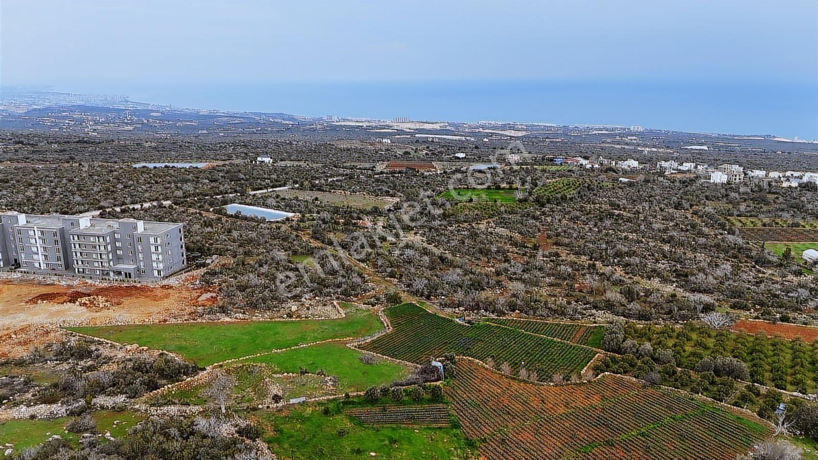 Erdemli Kumkuyu Çanakçı 500m2 Deniz Manzaralı Arsa 0,60 Yoğunluk - Görsel 14