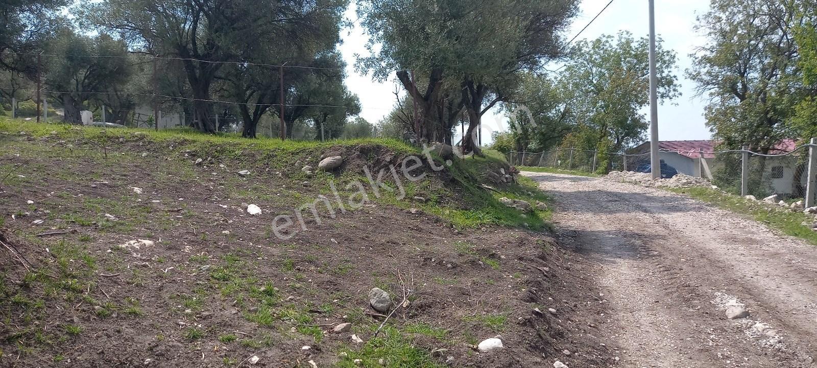 Startkey Platin'den Satılık Kağan Köyü’nde,köy İçi İmarlı, Elektrik-su Mevcut, 1200 M² Satılık Arsa - Görsel 8