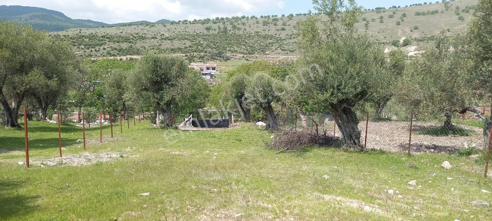 Startkey Platin'den Satılık Kağan Köyü’nde,köy İçi İmarlı, Elektrik-su Mevcut, 1200 M² Satılık Arsa - Görsel 4