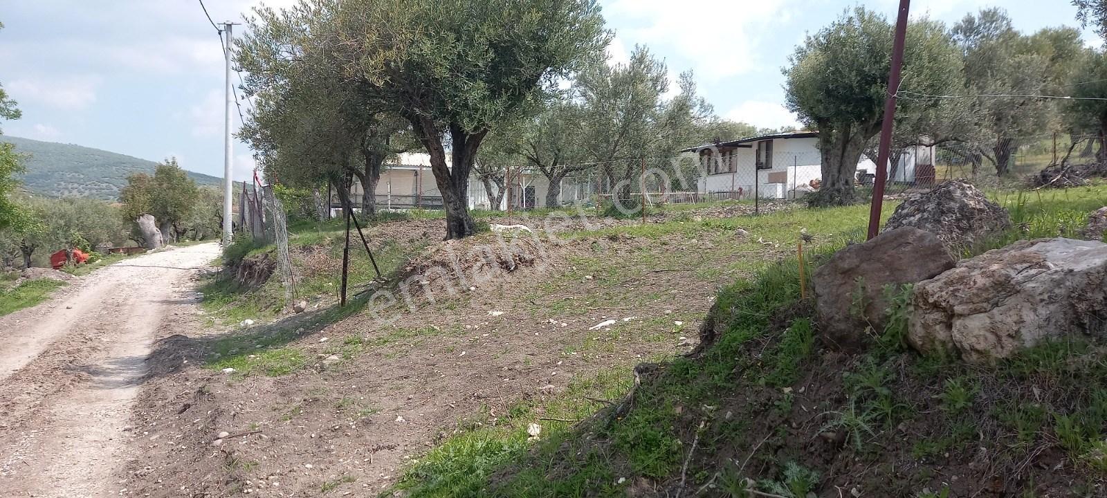 Startkey Platin'den Satılık Kağan Köyü’nde,köy İçi İmarlı, Elektrik-su Mevcut, 1200 M² Satılık Arsa - Görsel 6