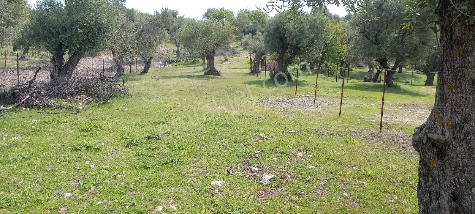 Startkey Platin'den Satılık Kağan Köyü’nde,köy İçi İmarlı, Elektrik-su Mevcut, 1200 M² Satılık Arsa - Görsel 2
