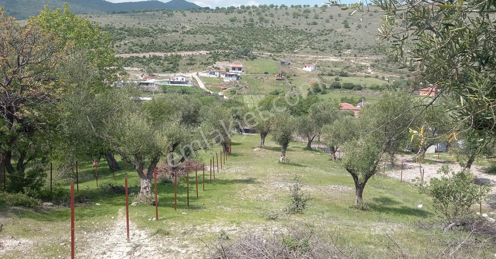 Startkey Platin'den Satılık Kağan Köyü’nde,köy İçi İmarlı, Elektrik-su Mevcut, 1200 M² Satılık Arsa