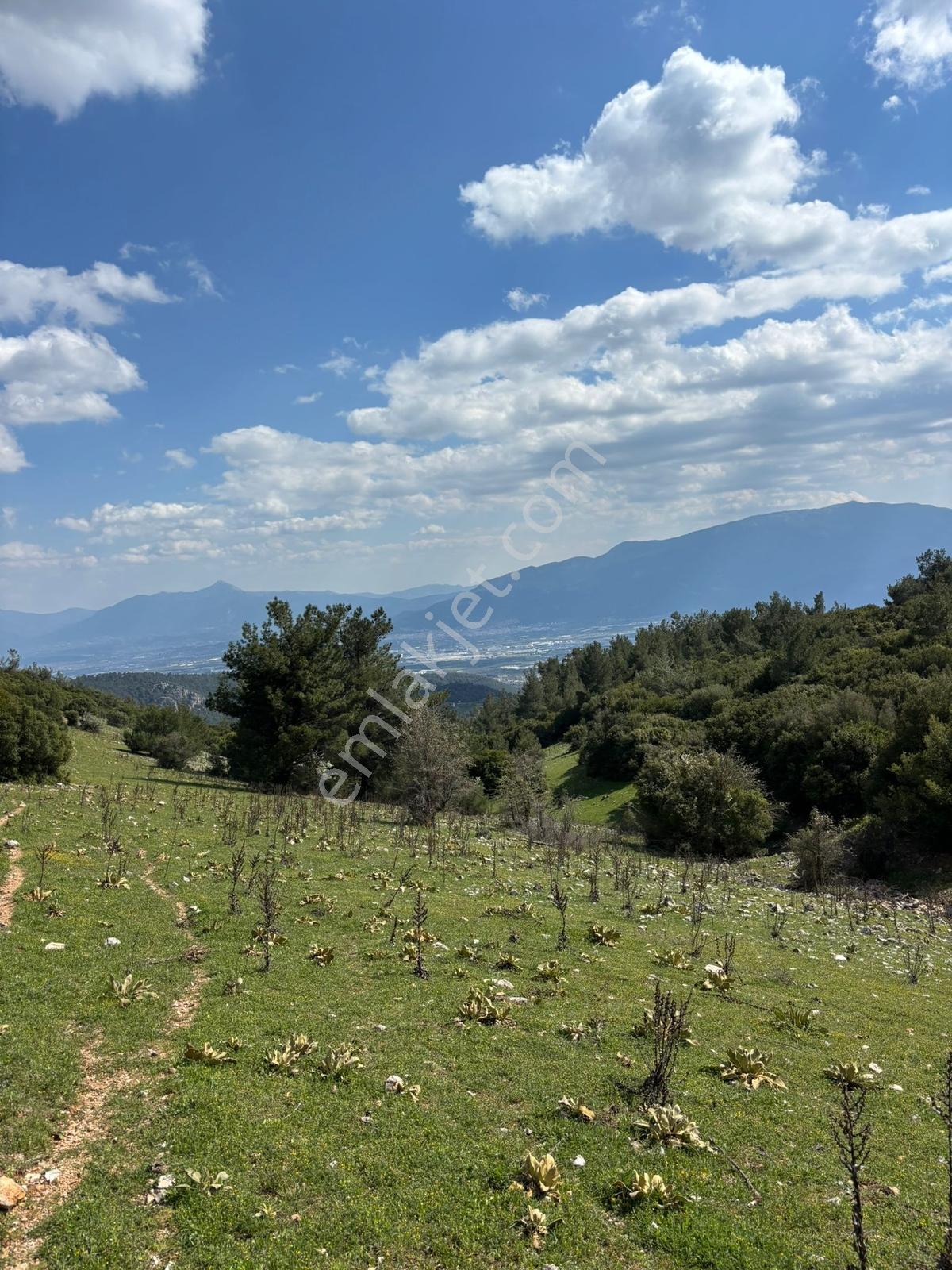 Damlacık'ta 1781.91 M2 Tarla