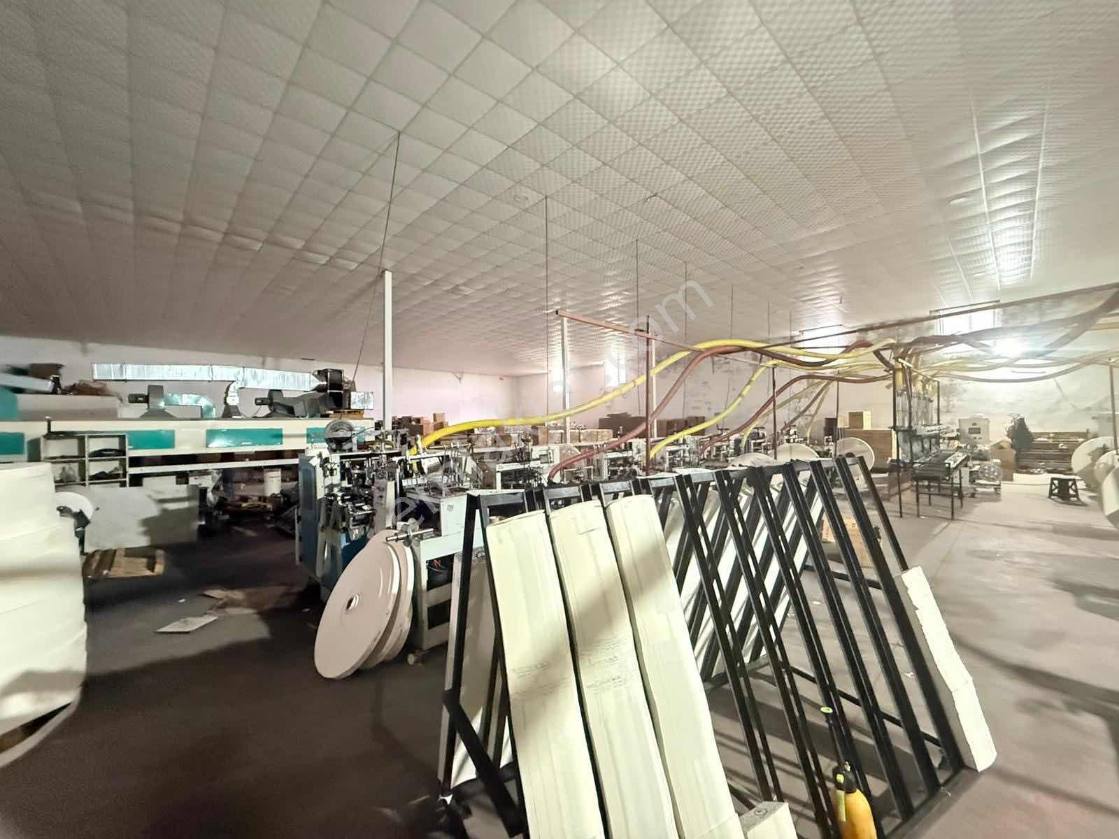 Rotadan Devren Kiralık Karton Bardak Fabrikası - Görsel 3
