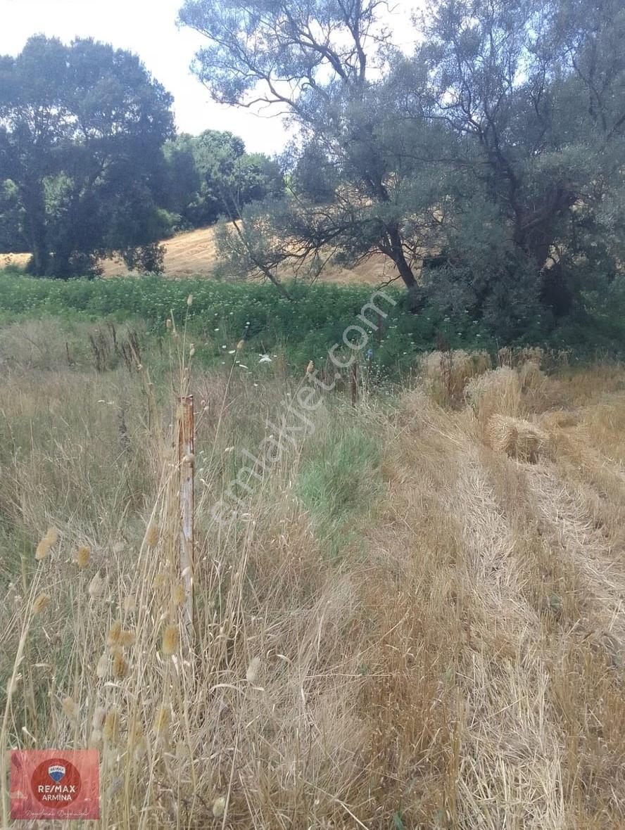 İzmit Yenice Bölgenin En Ucuzu 568 M² Fırsat Tarla Acil Satılık - Görsel 10