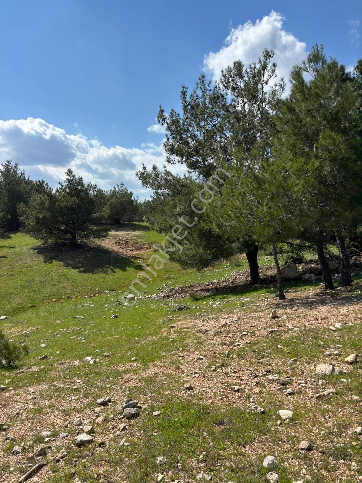 Damlacık Boğazlıyan Mevkin'de Satılık 3188.44 M2 Tarla - Görsel 2