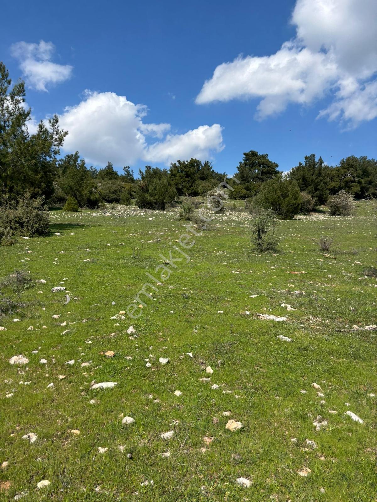 Damlacık Boğazlıyan Mevkin'de Satılık 3188.44 M2 Tarla - Görsel 4