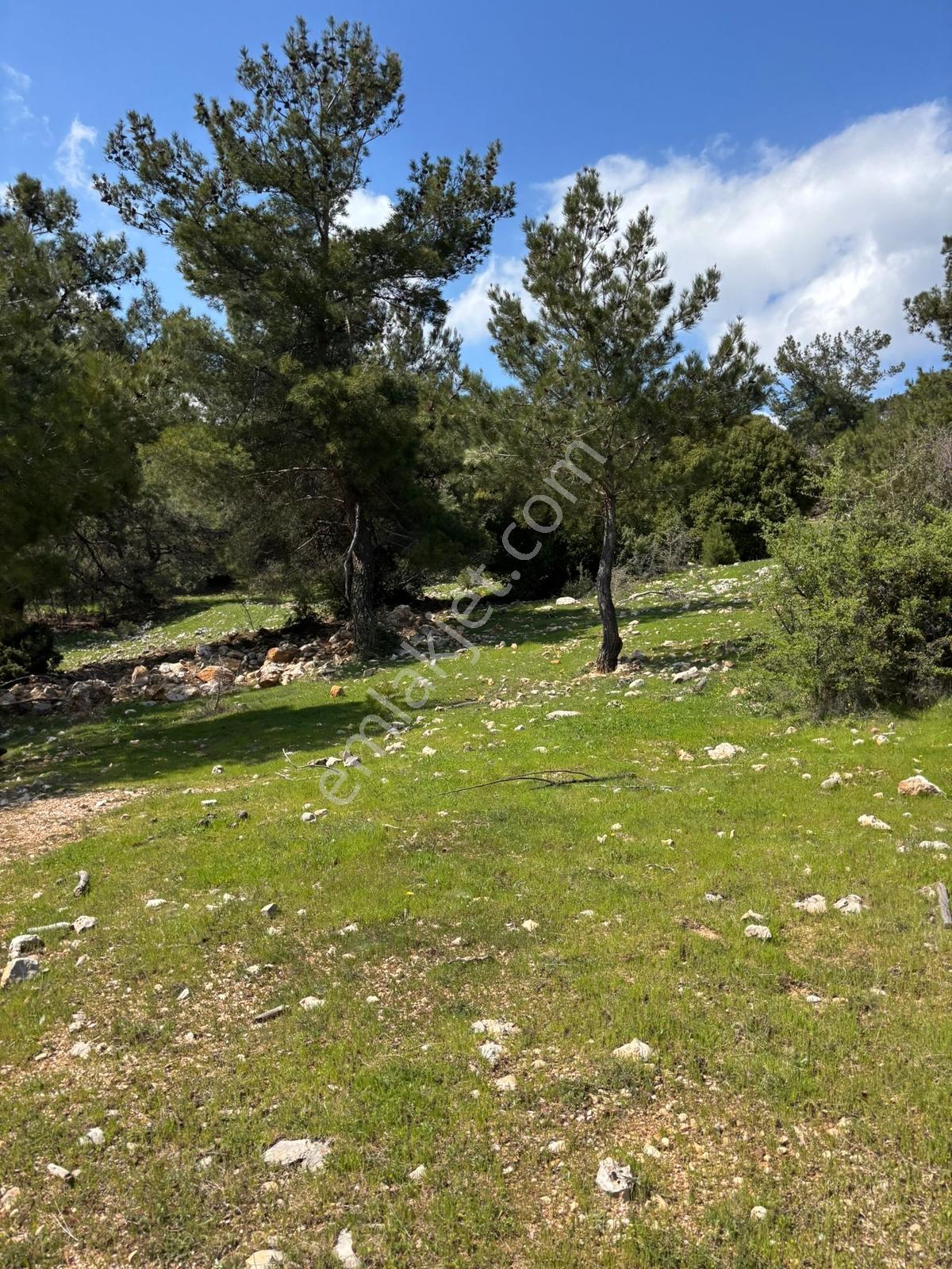 Damlacık Boğazlıyan Mevkin'de Satılık 3188.44 M2 Tarla - Görsel 10