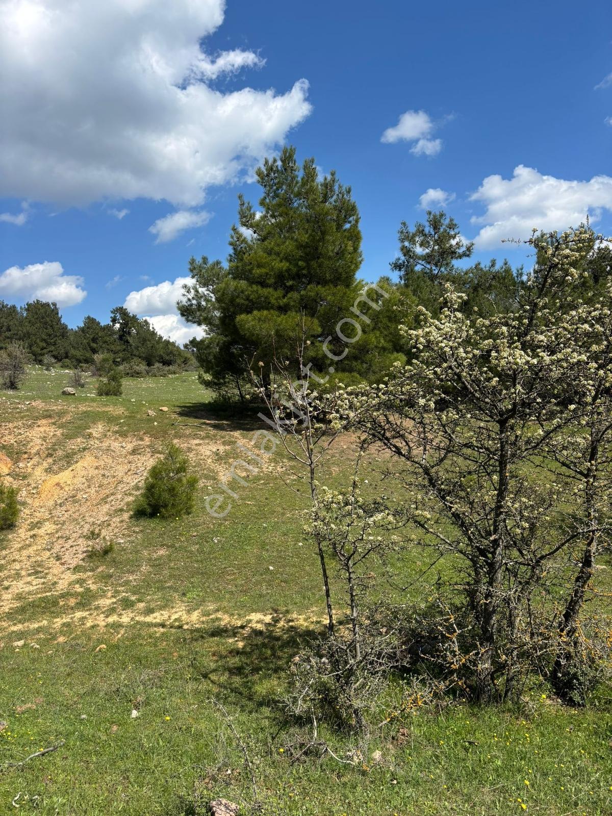 Damlacık Boğazlıyan Mevkin'de Satılık 3188.44 M2 Tarla - Görsel 12