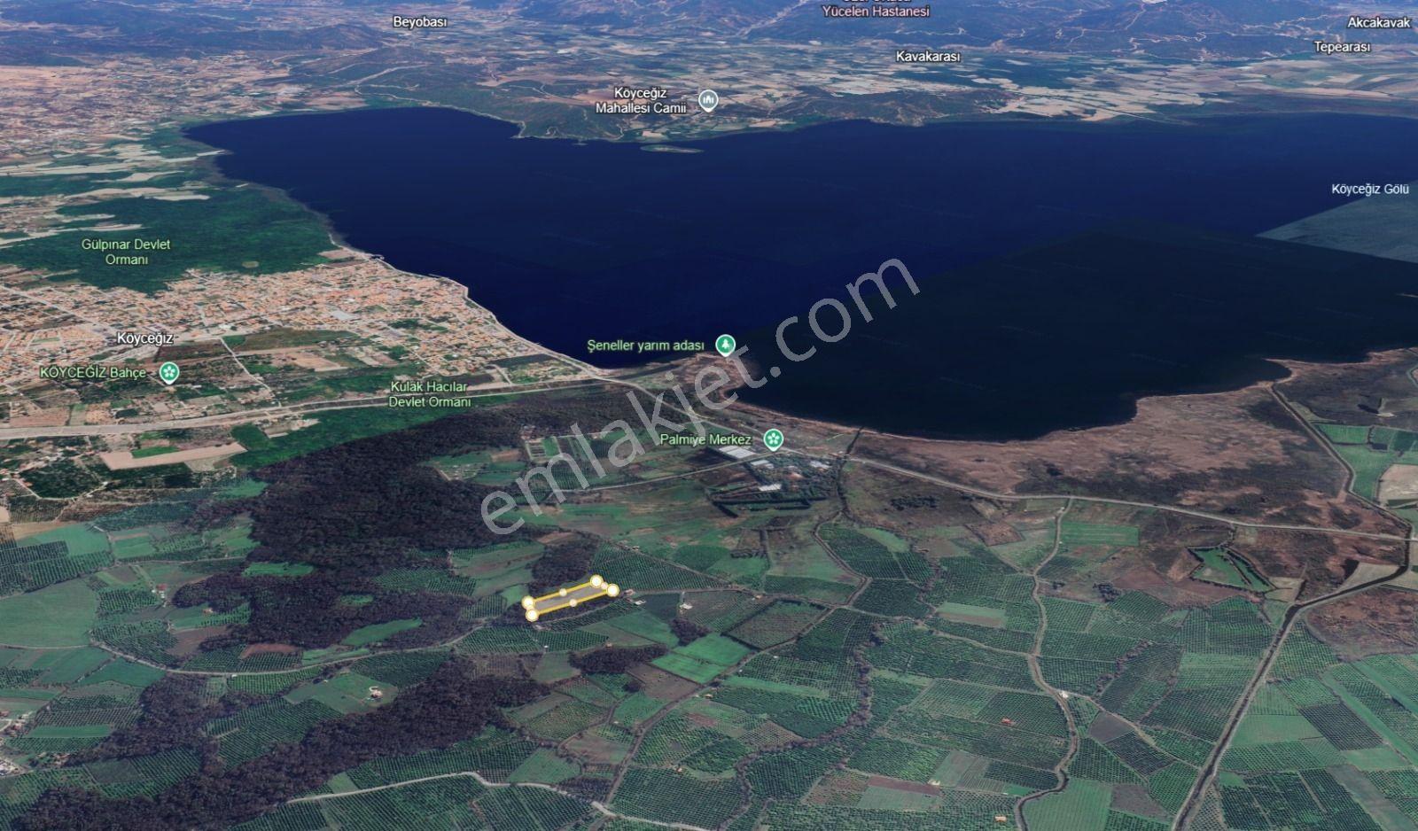 Muğla Köyceğiz Toparlar Göle Yakın Yatırımlık Satılık Arazi - Görsel 3