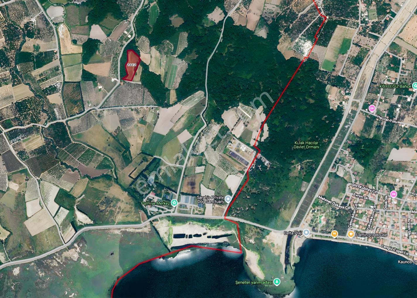 Muğla Köyceğiz Toparlar Göle Yakın Yatırımlık Satılık Arazi - Görsel 12