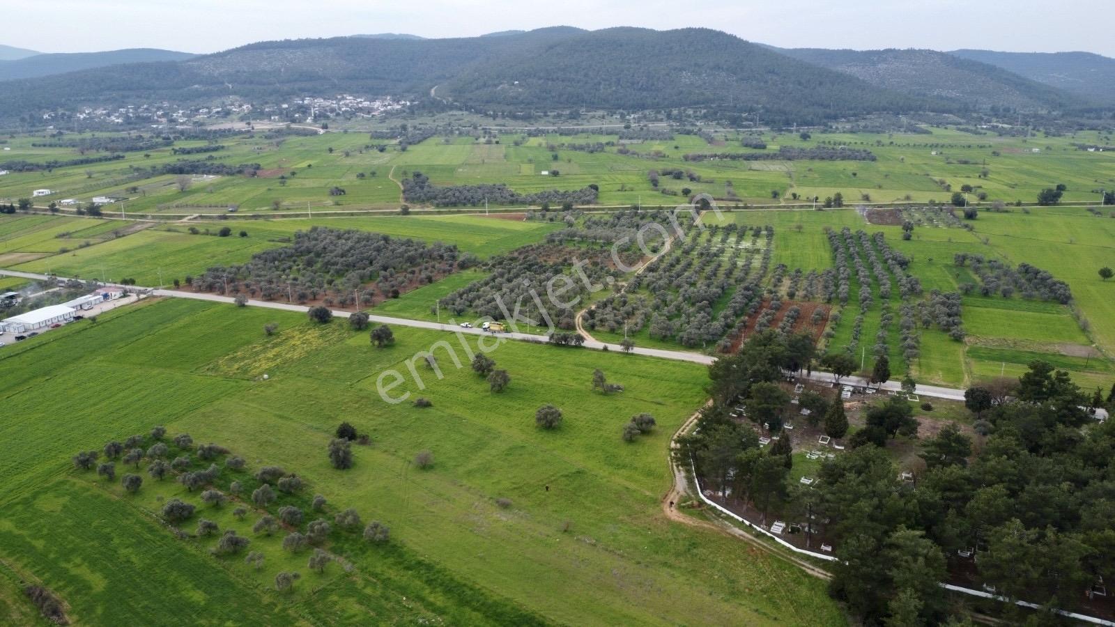 Bodrum Çamarası Satılık Müstakil Tapulu Arazi - Görsel 5