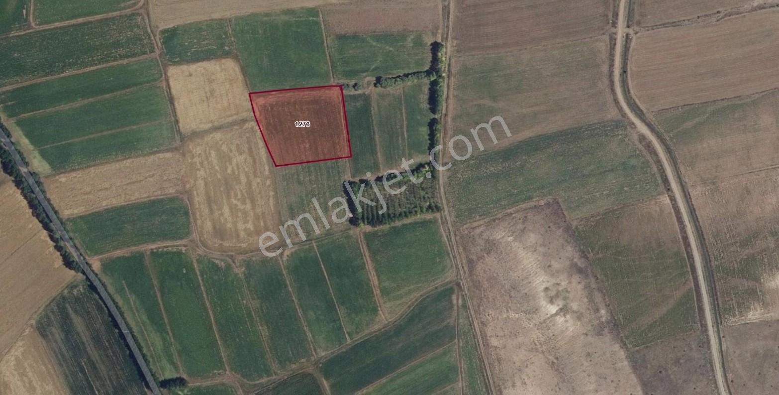 9933m2 Tokat Merkez Çerçi Köyü'nde Satılık Sulak Tarım Arazisi - Görsel 5