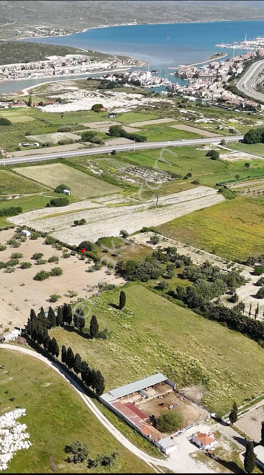 Alaçatı Port’a Komşu | 2.096 M² Yatırımlık Satılık Tarla – Kaçırılmayacak Fırsat! - Görsel 4