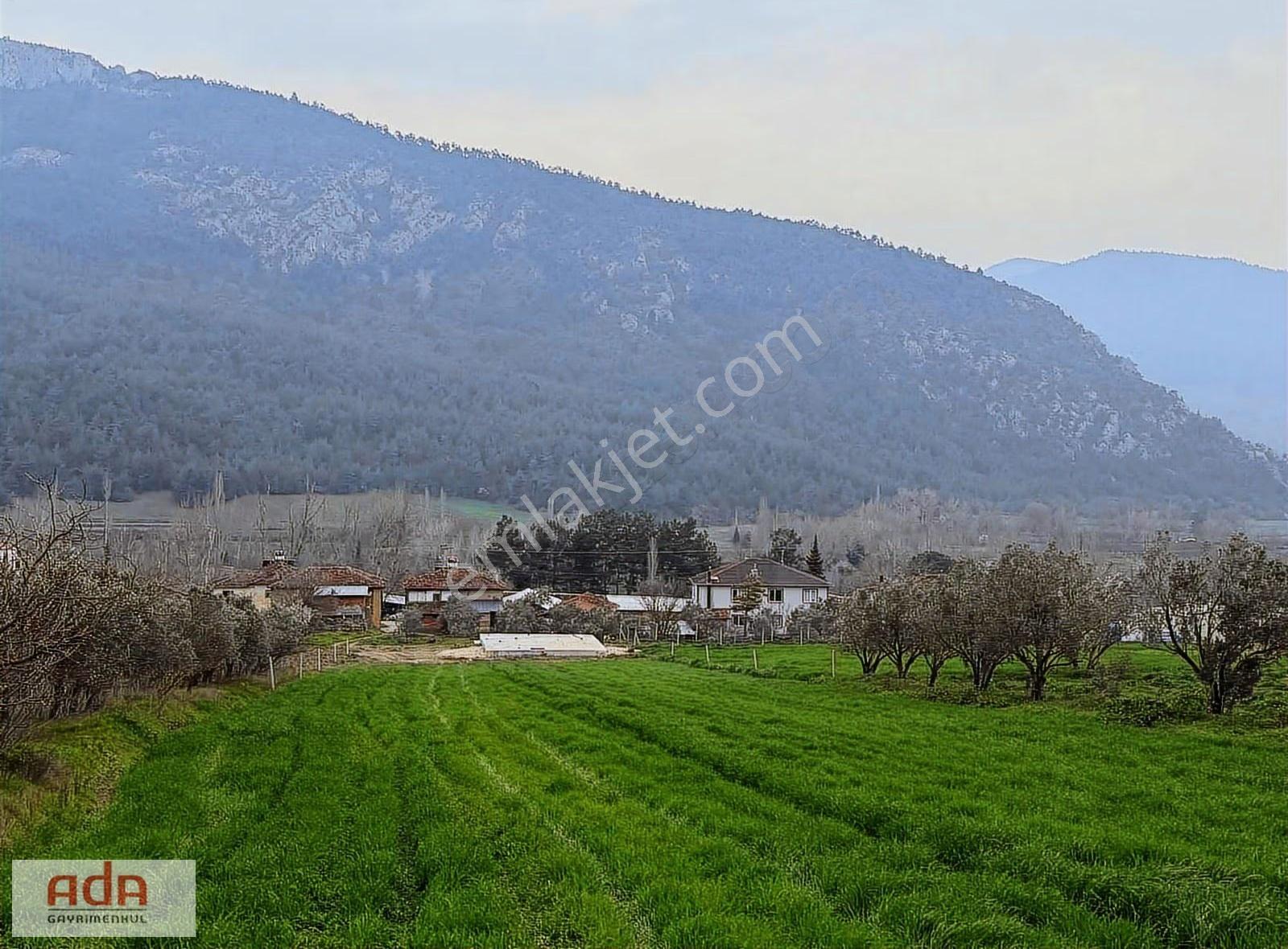 Sakarya Geyve Karacaörende İnşaata Hazır Projeli Arsa - Görsel 17