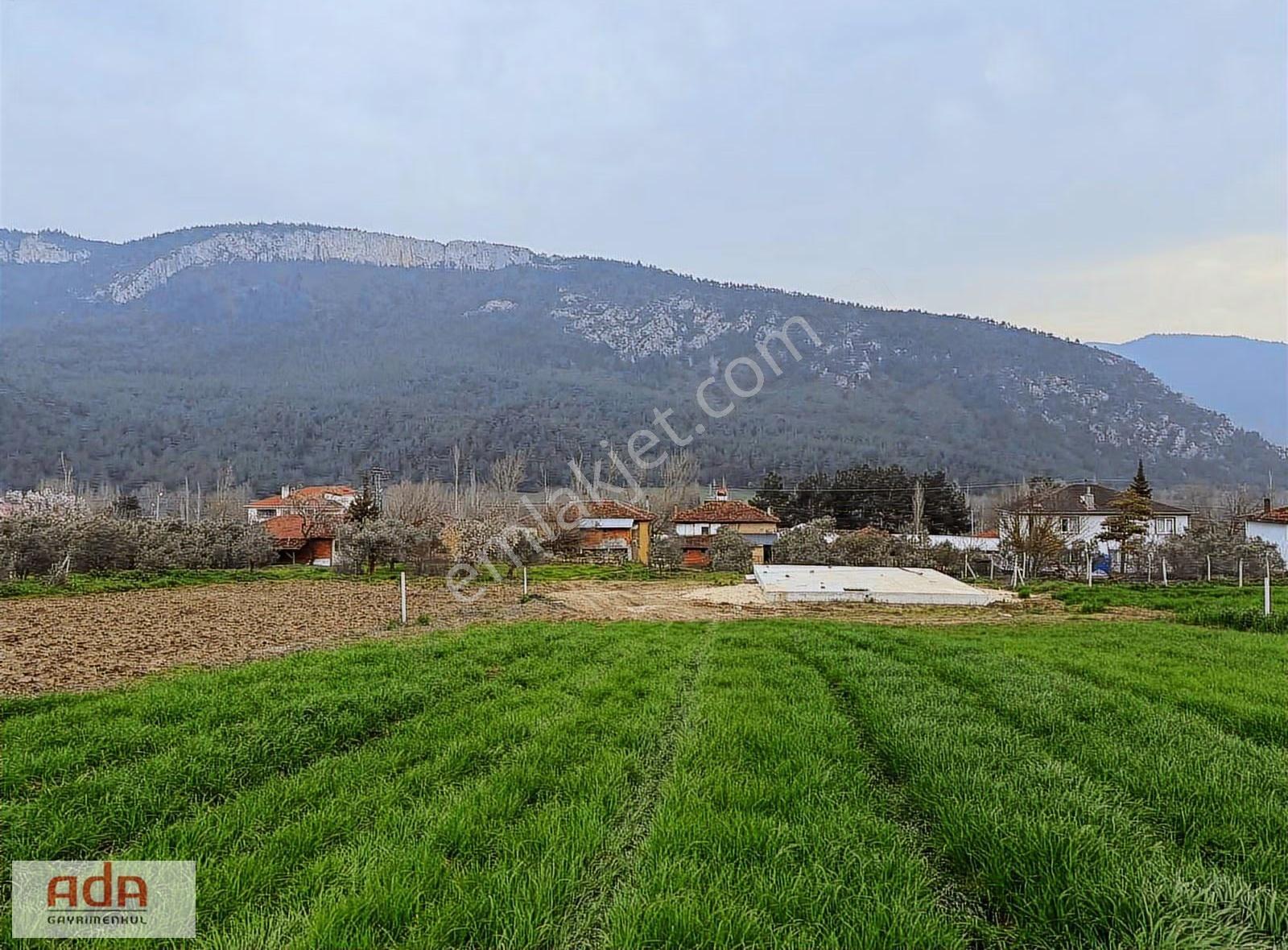 Sakarya Geyve Karacaörende İnşaata Hazır Projeli Arsa - Görsel 21