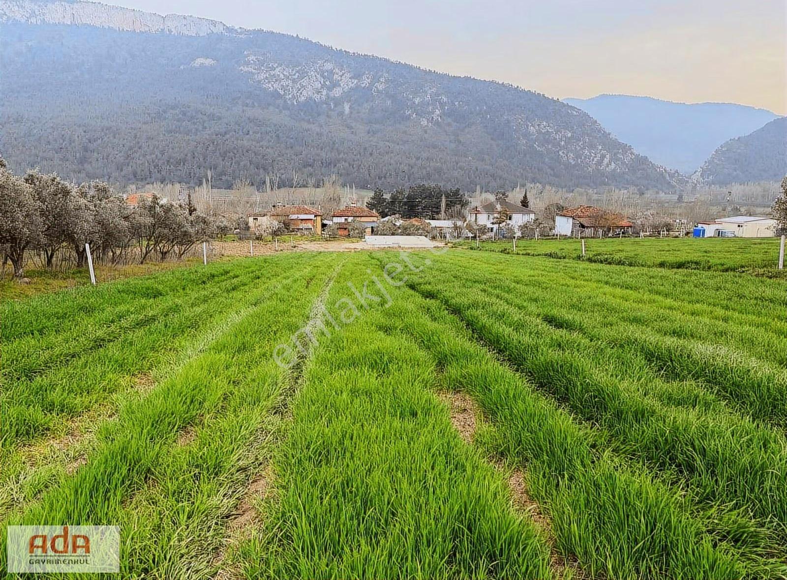 Sakarya Geyve Karacaörende İnşaata Hazır Projeli Arsa - Görsel 25