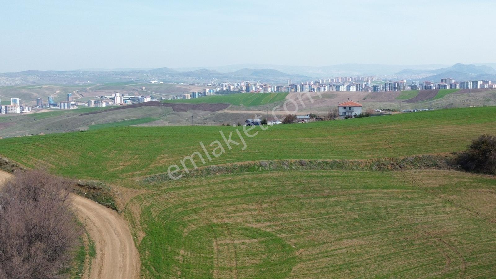 Han'dan Kösrelik Göl Manzralı Yol Cepheli 1/2 Hisseli Arsa - Görsel 28